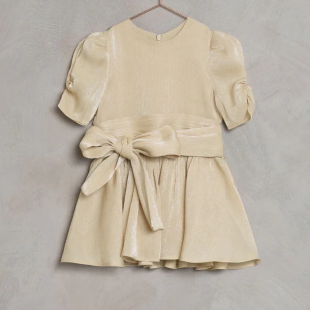 Noralee Josephine dress- NEW with tag.